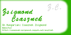 zsigmond csasznek business card